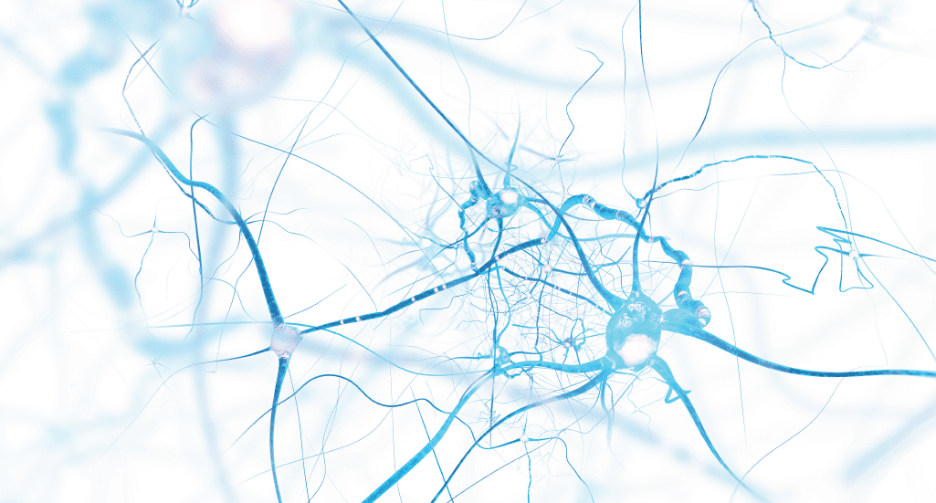 What Is Chiropractic Neurology and How Can It Help?